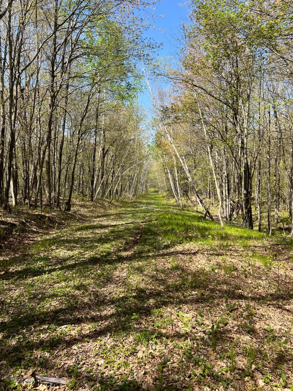 W6474 River Road Trego, WI 54888