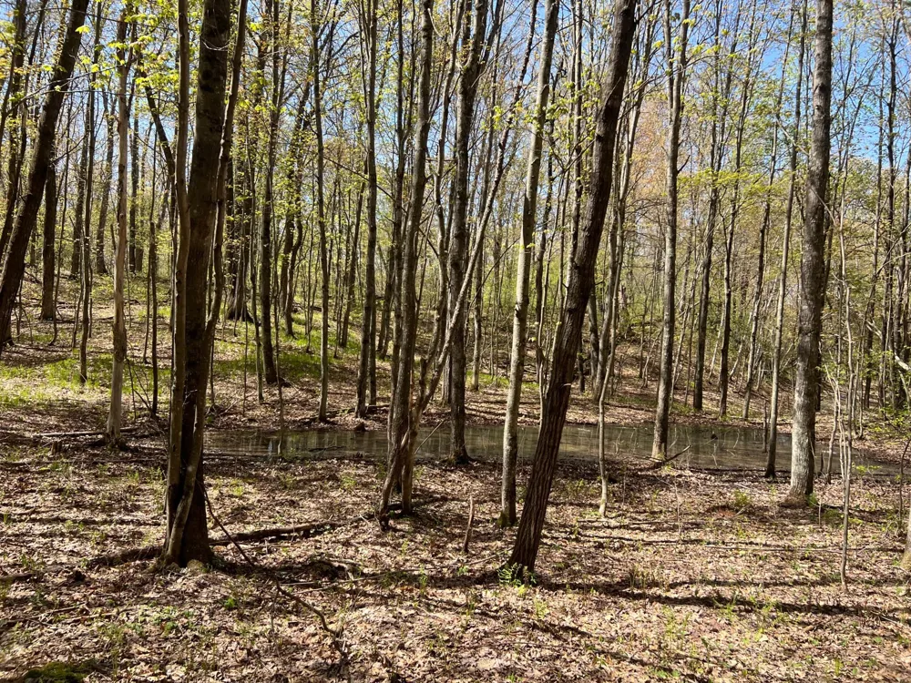 W6474 River Road Trego, WI 54888