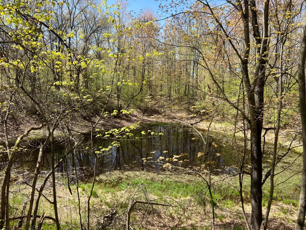 W6474 River Road Trego, WI 54888