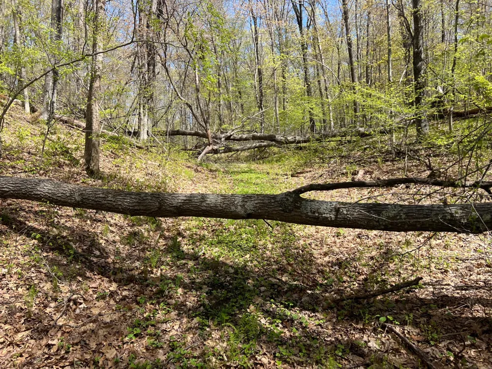 W6474 River Road Trego, WI 54888