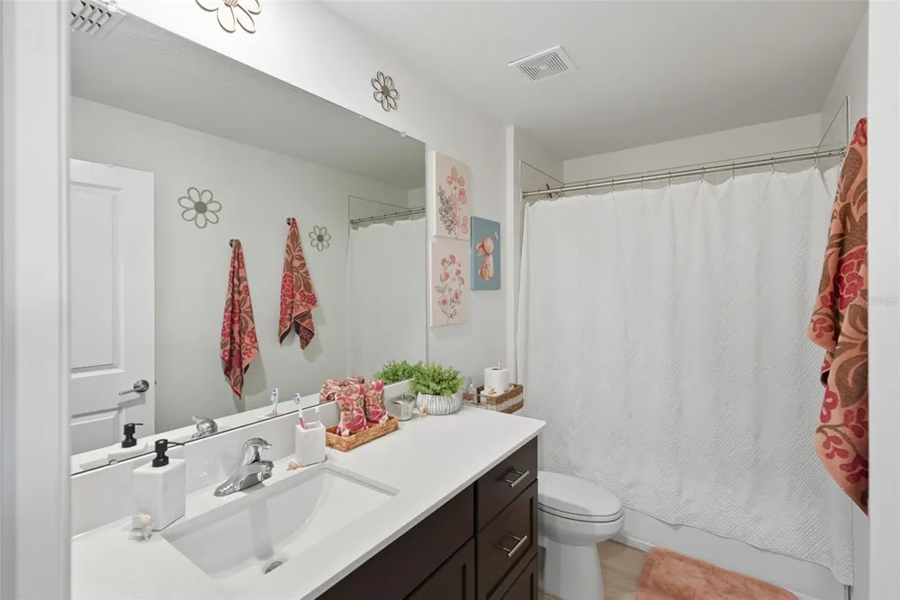 22289 NEBULA WAY Land O Lakes, FL 34637