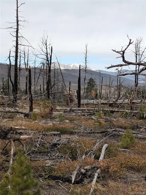 Lot 2301 Wohlstetter Loop