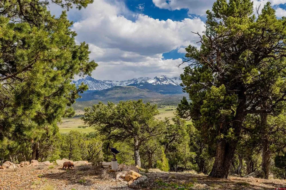 847 Pleasant Valley Drive Ridgway, CO 81432