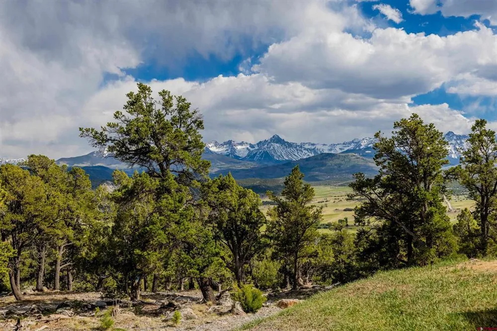 847 Pleasant Valley Drive Ridgway, CO 81432