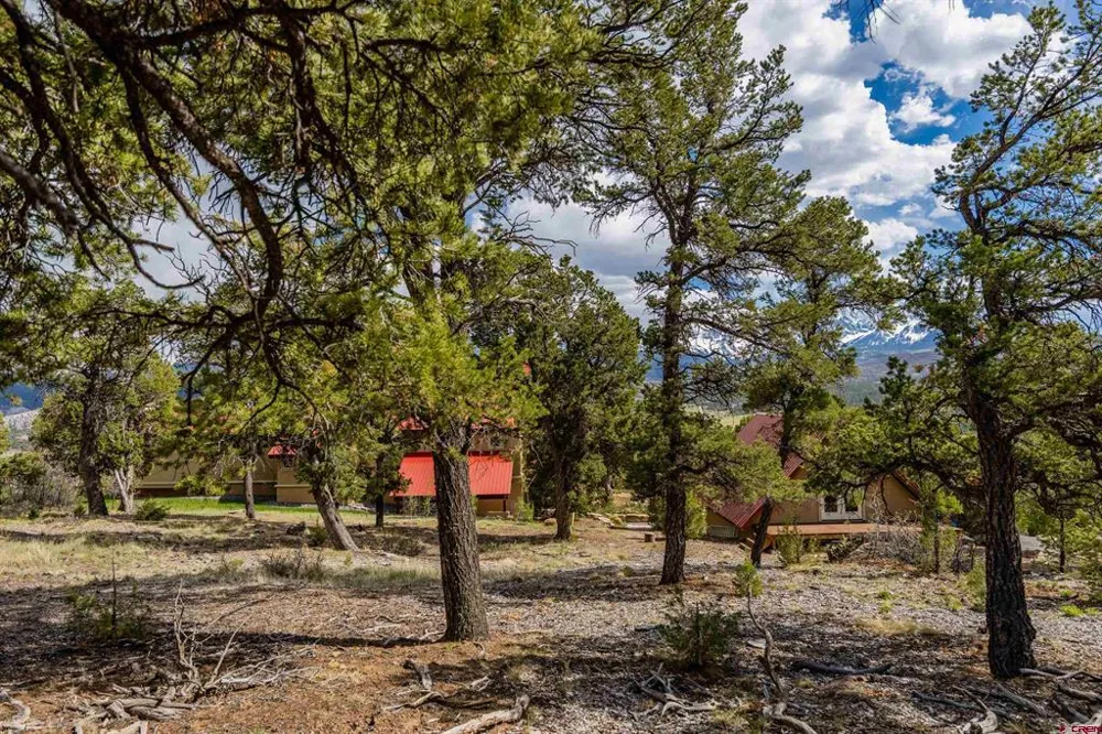 847 Pleasant Valley Drive Ridgway, CO 81432