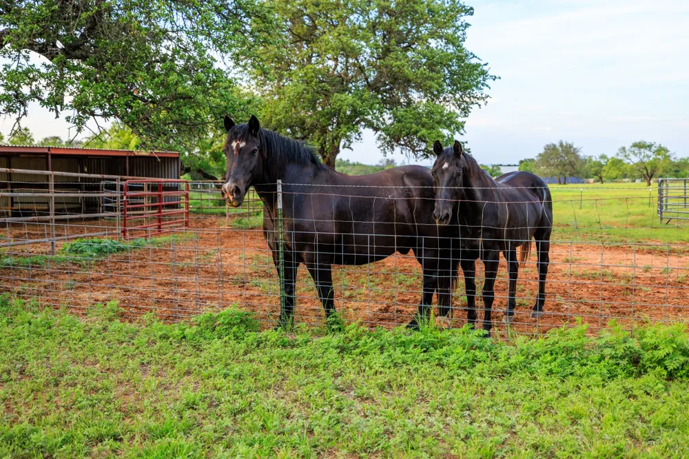 3724 Ranch Road 3347 Round Mountain, TX 78663