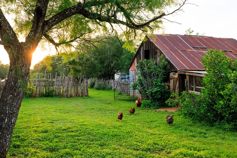 3724 Ranch Road 3347 Round Mountain, TX 78663