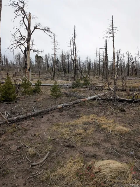 Lot 2296 Wohlstetter Loop