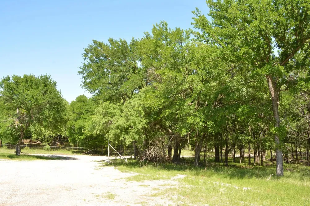 138 PR 3417 Bridgeport, TX 76426