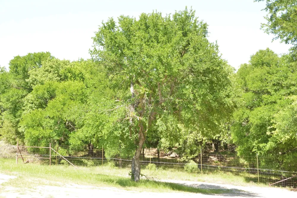 138 PR 3417 Bridgeport, TX 76426