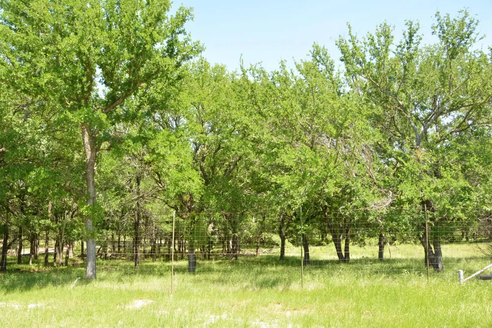 138 PR 3417 Bridgeport, TX 76426
