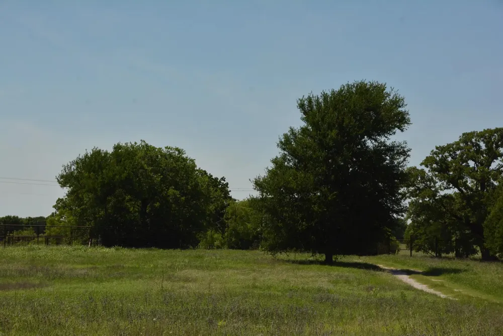 138 PR 3417 Bridgeport, TX 76426