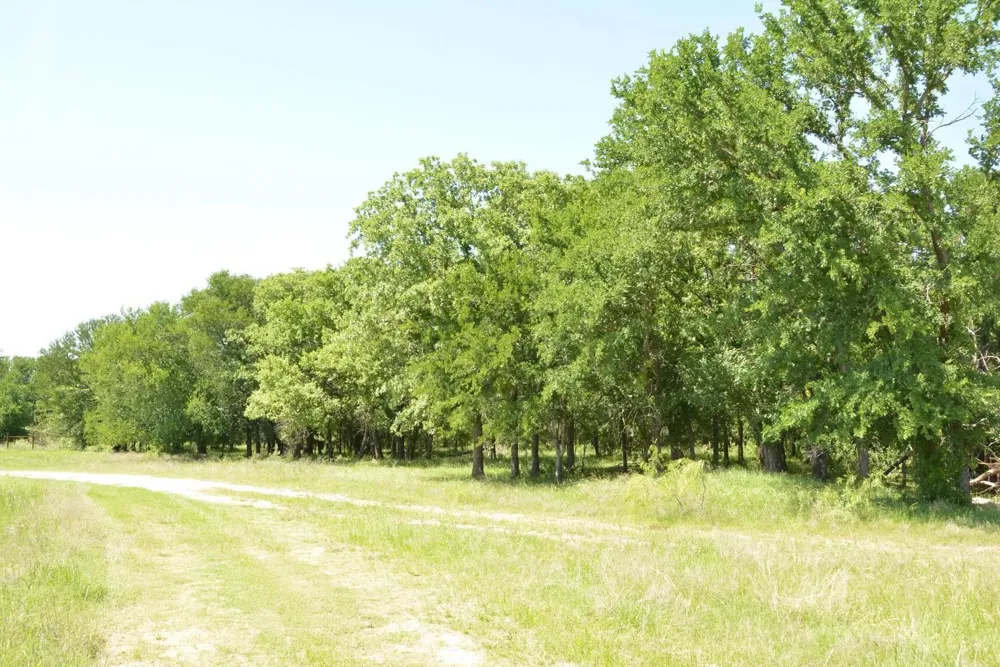 138 PR 3417 Bridgeport, TX 76426