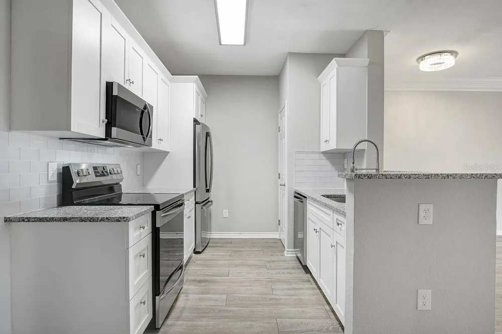 4311 BAYSIDE VILLAGE DRIVE #303 Tampa, FL 33615