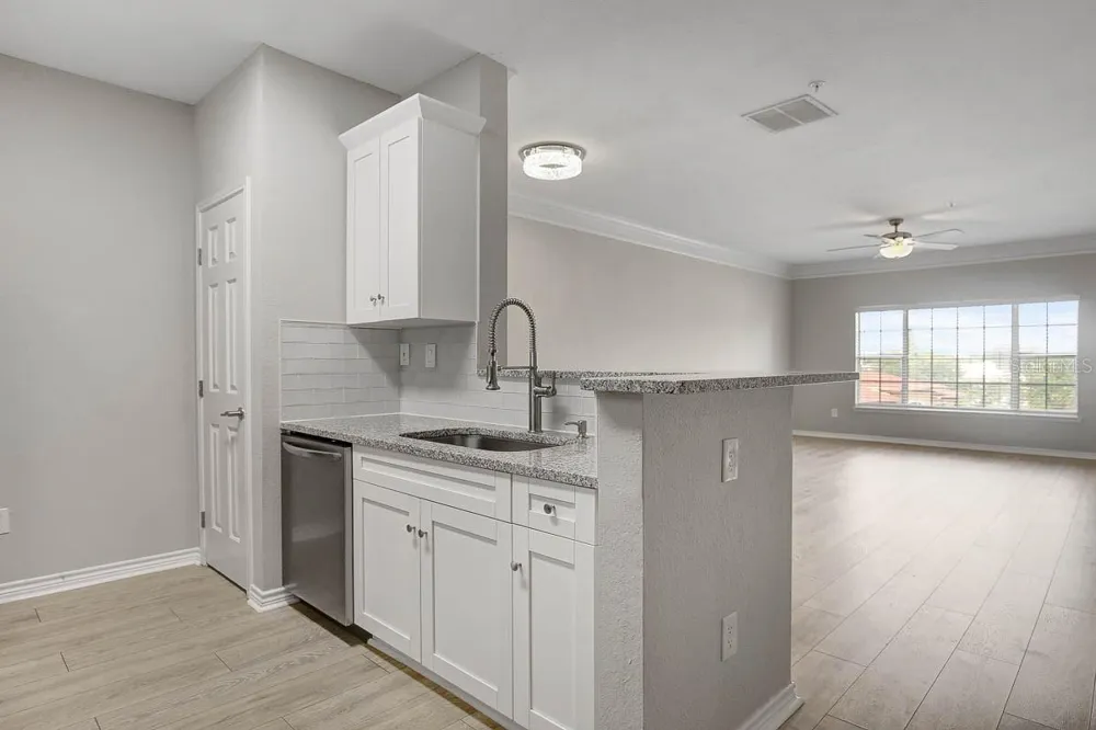 4311 BAYSIDE VILLAGE DRIVE #303 Tampa, FL 33615