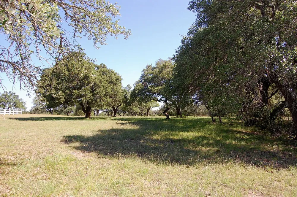 Rio Gabriel Liberty Hill, TX 78642