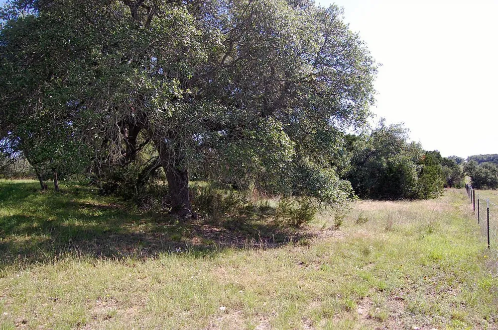 Rio Gabriel Liberty Hill, TX 78642