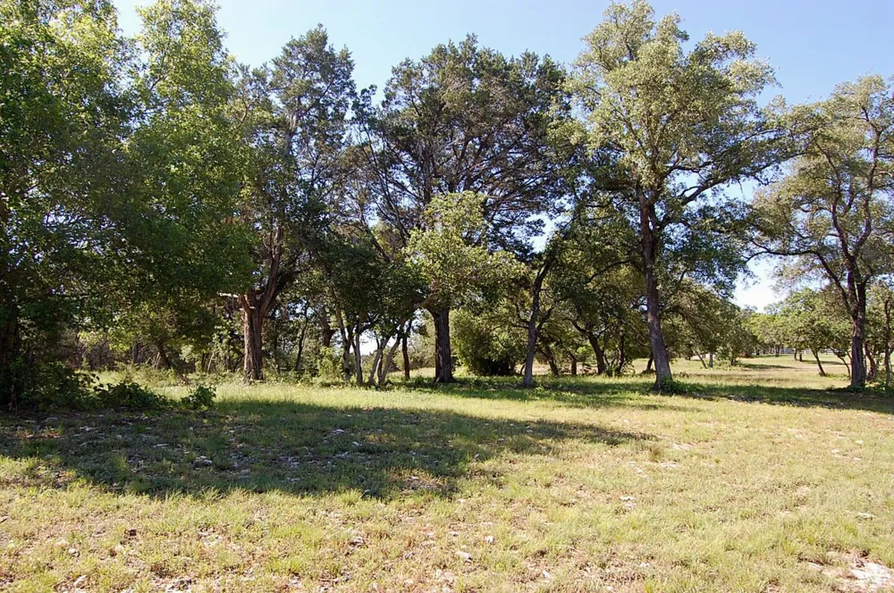 Rio Gabriel Liberty Hill, TX 78642