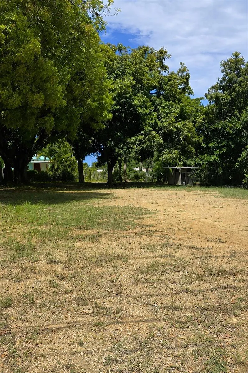 BARRIO PUNTAS Rincon, PR 00677