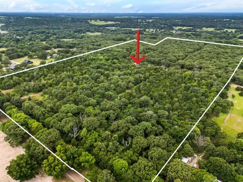 871 VZ County Road 1913