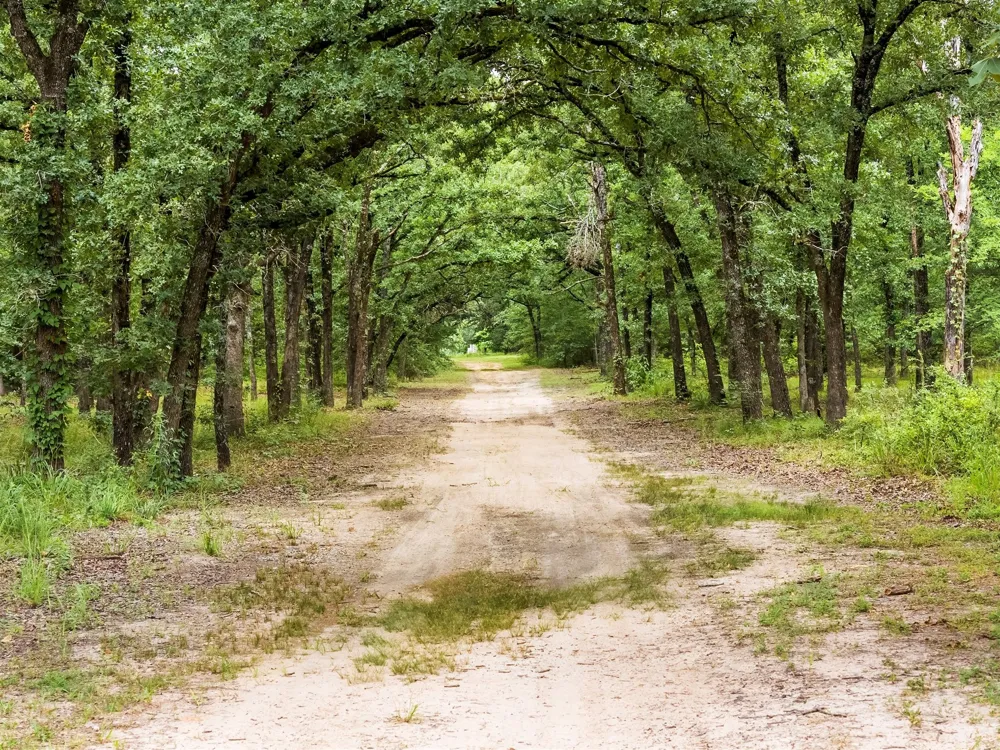 871 VZ County Road 1913 Fruitvale, TX 75127