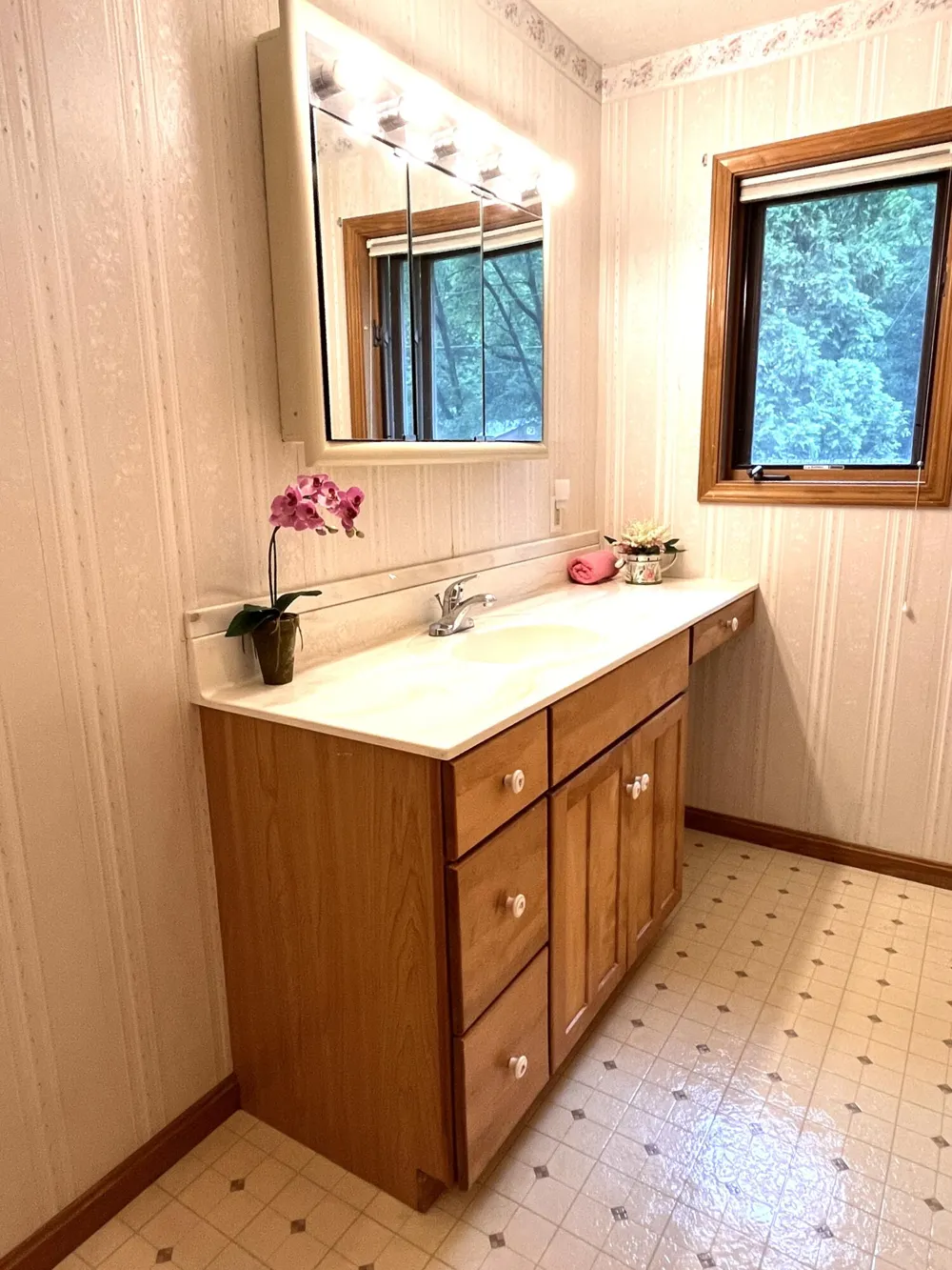 201 Scenic View Drive Niles Township, MI 49120