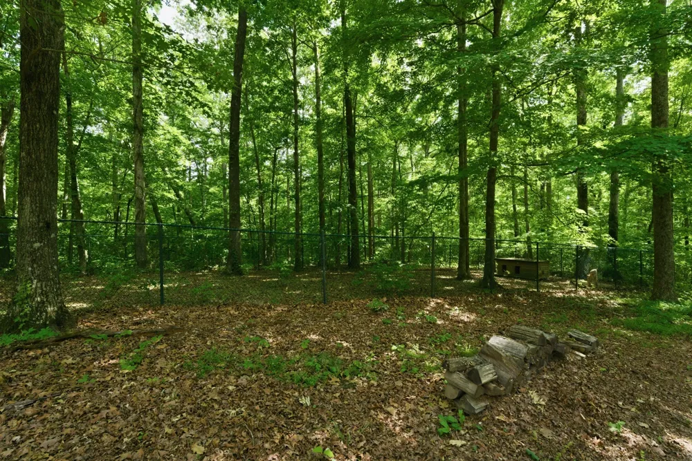 957 Ford Rd White Bluff, TN 37187