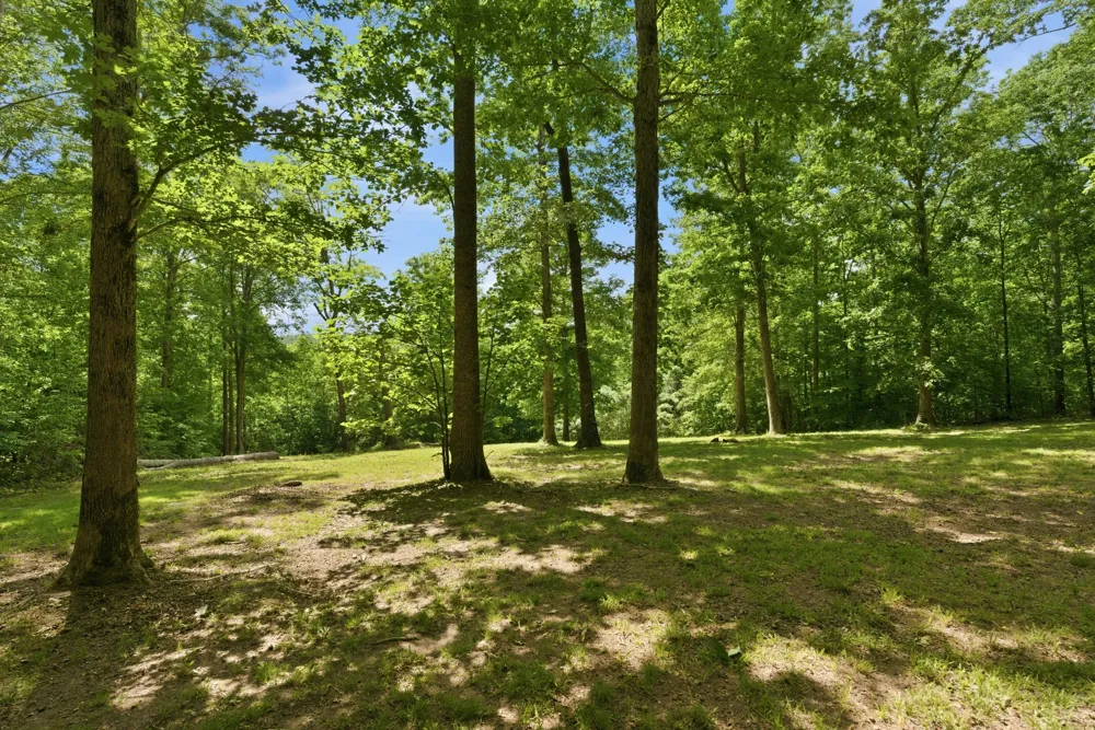957 Ford Rd White Bluff, TN 37187