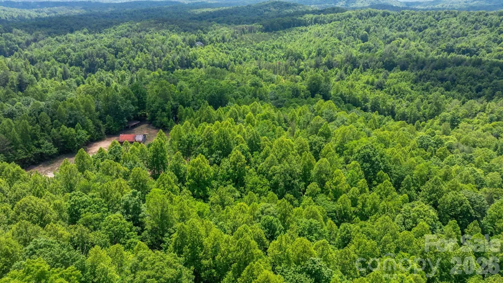 1460 Husbands Creek Road Lenoir, NC 28645