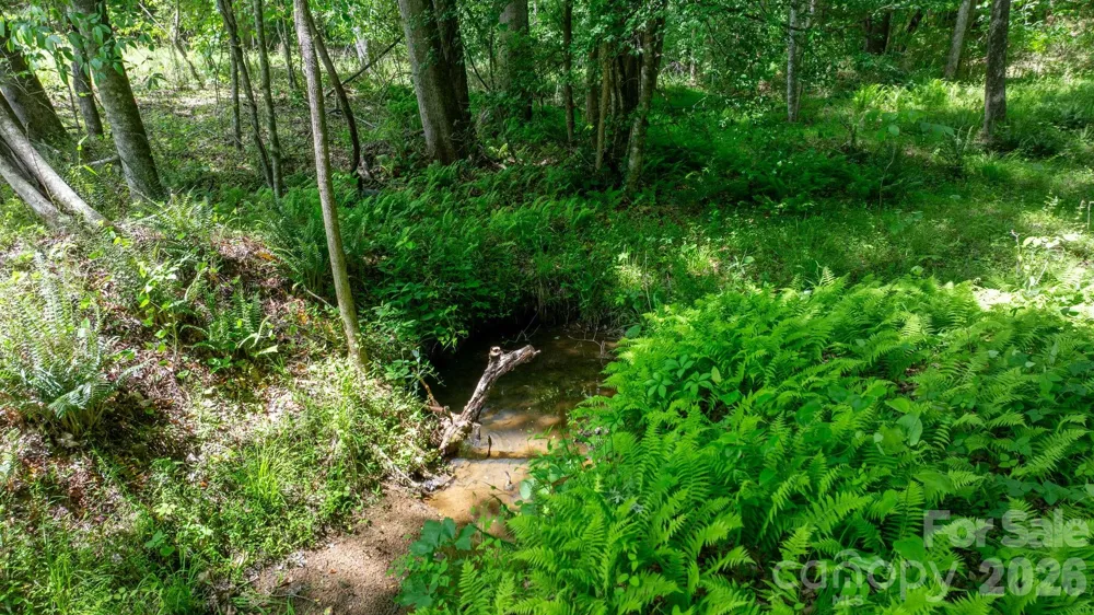 1460 Husbands Creek Road Lenoir, NC 28645
