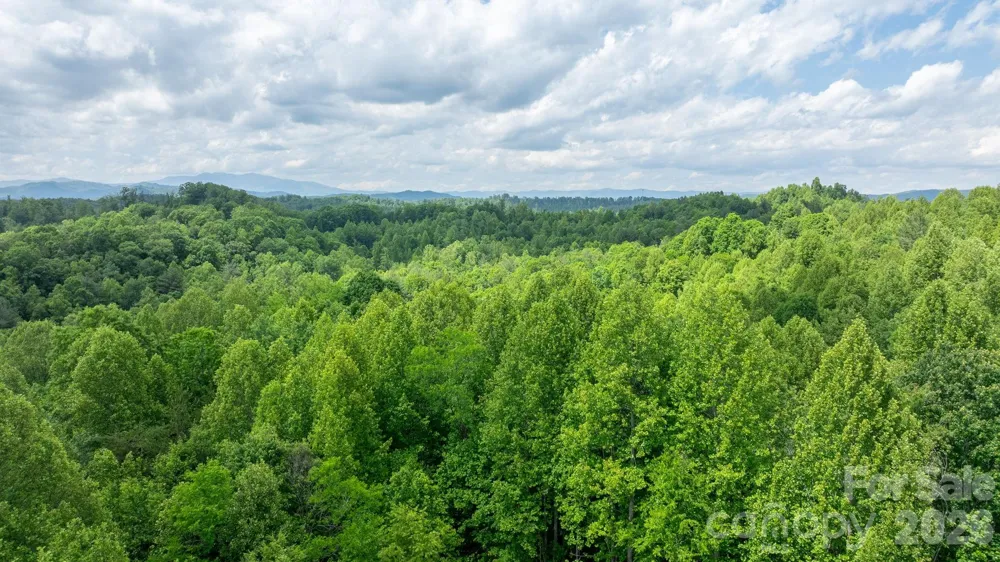 1460 Husbands Creek Road Lenoir, NC 28645