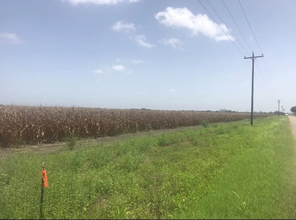 Gold Road Garwood, TX 77442