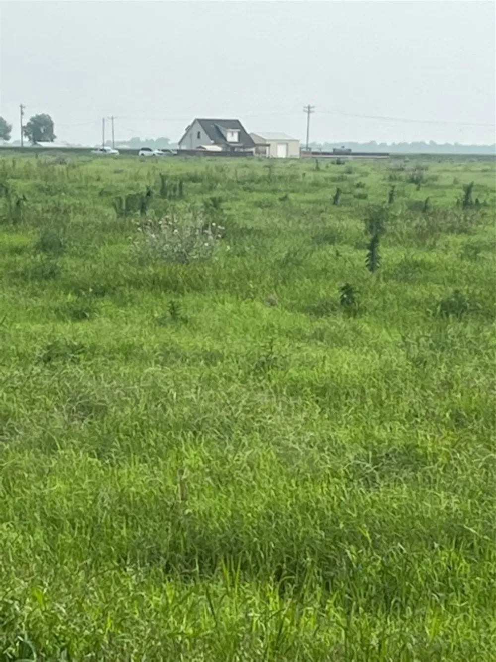 Gold Road Garwood, TX 77442