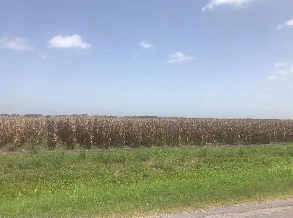 Gold Road Garwood, TX 77442