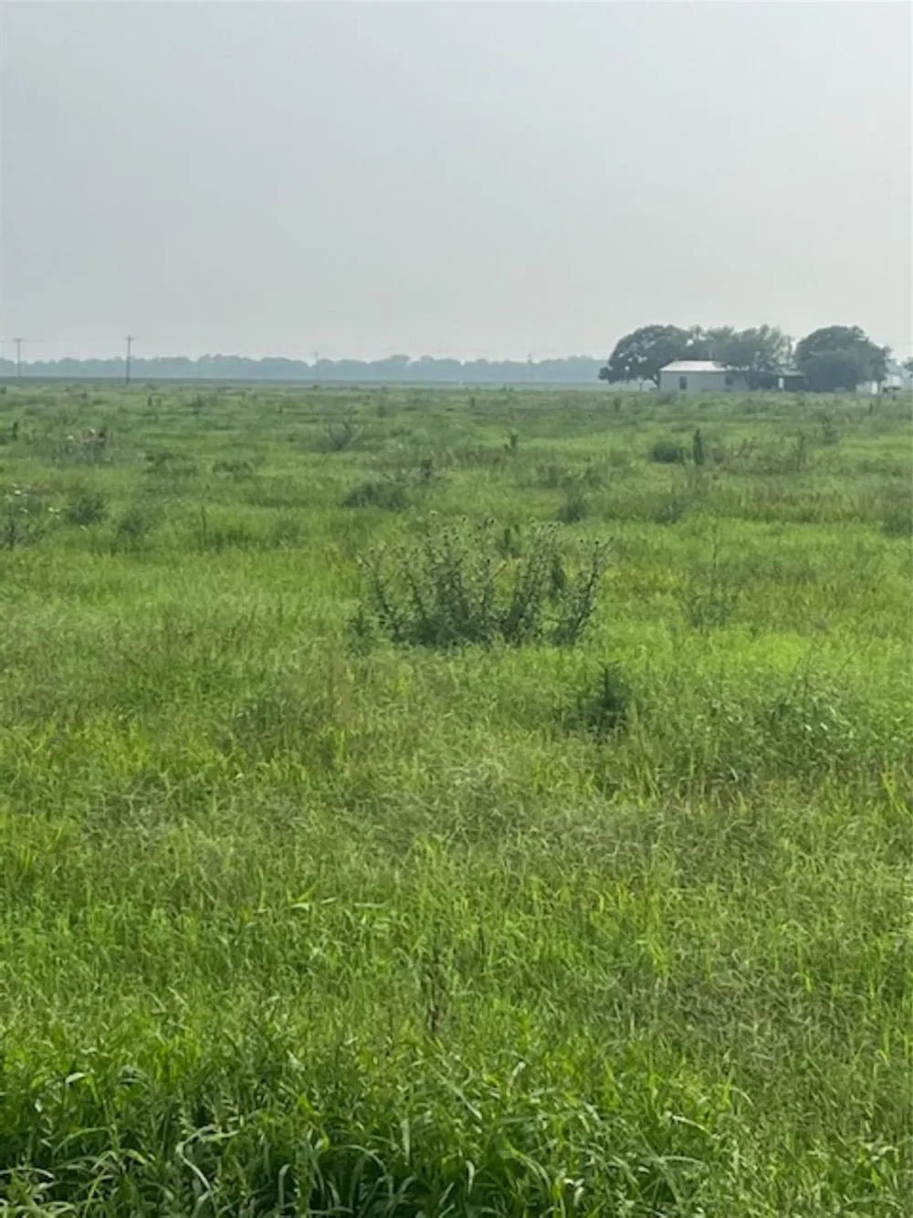 Gold Road Garwood, TX 77442