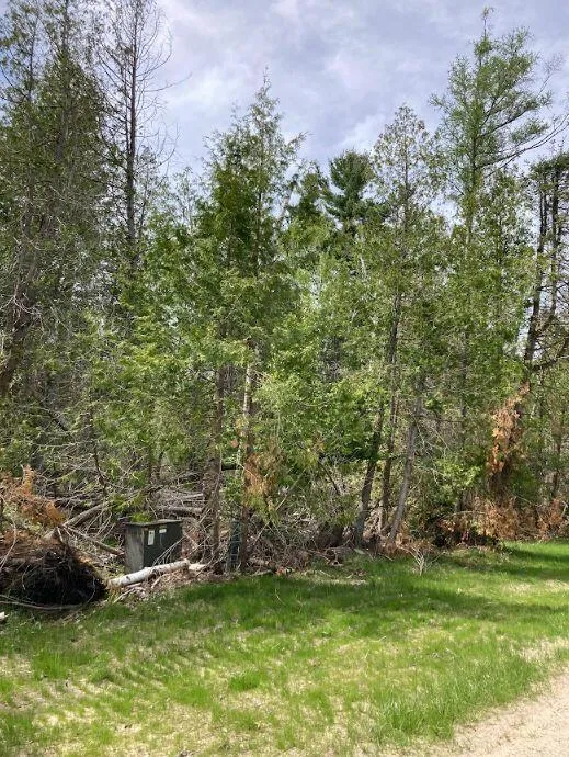 Pine Tree Trail Trail #822 Oscoda, MI 48750