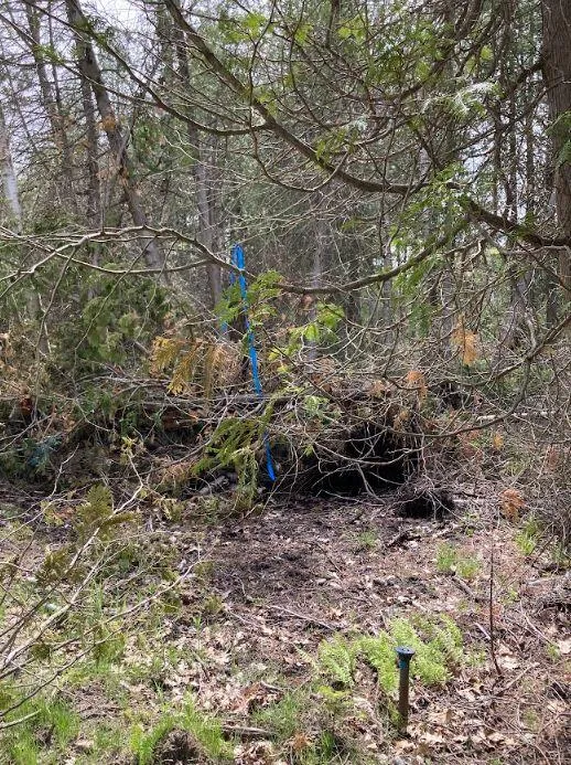 Pine Tree Trail Trail #822 Oscoda, MI 48750