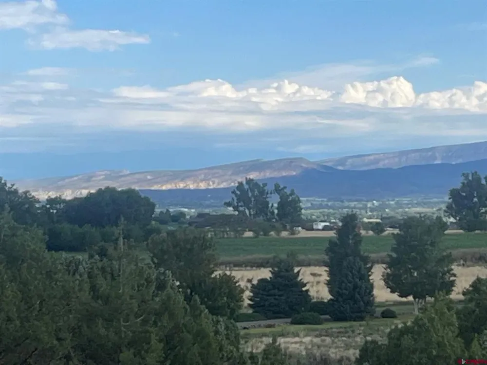 3 6300 ROAD Montrose, CO 81403