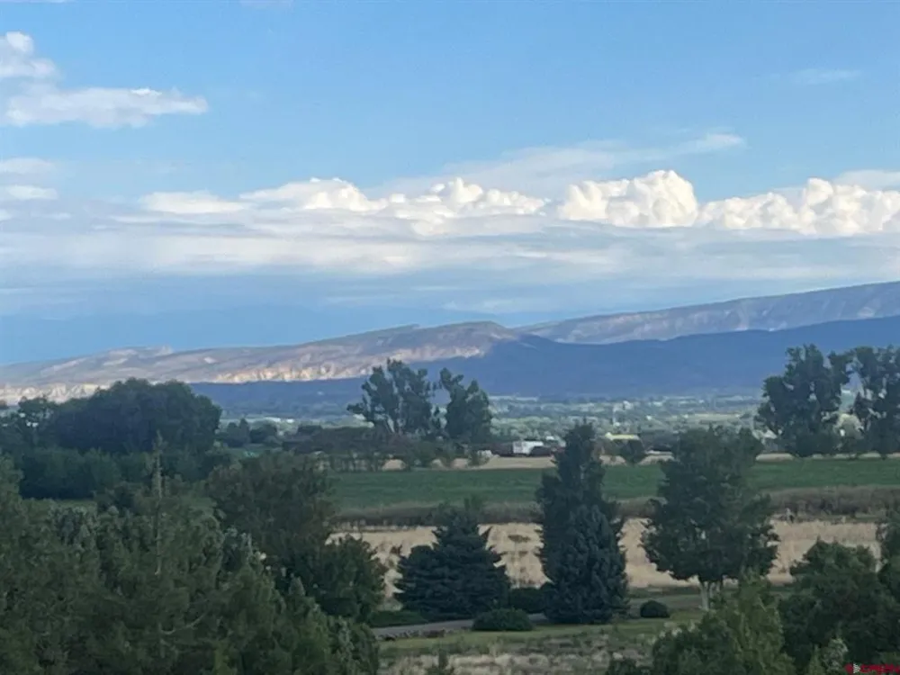 3 6300 ROAD Montrose, CO 81403