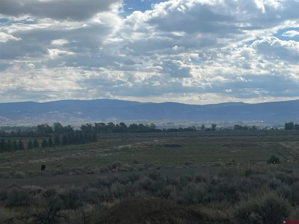3 6300 ROAD Montrose, CO 81403