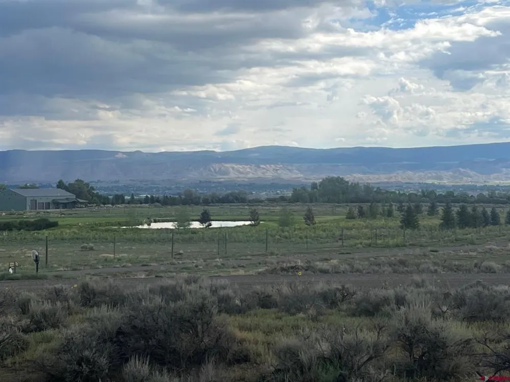 3 6300 ROAD Montrose, CO 81403