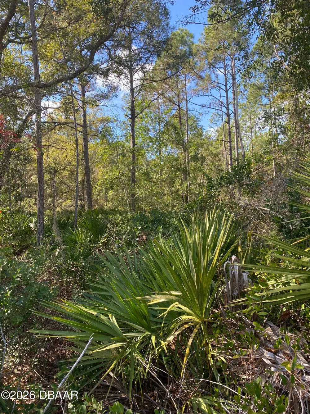 820 Old Bubbly Road Pierson, FL 32180