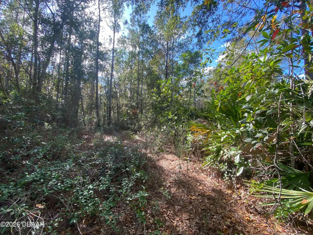 820 Old Bubbly Road Pierson, FL 32180