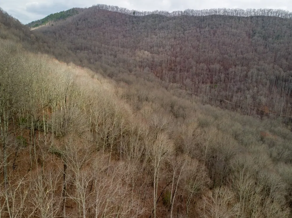 Upper Tuskeegee Road Robbinsville, NC 28771