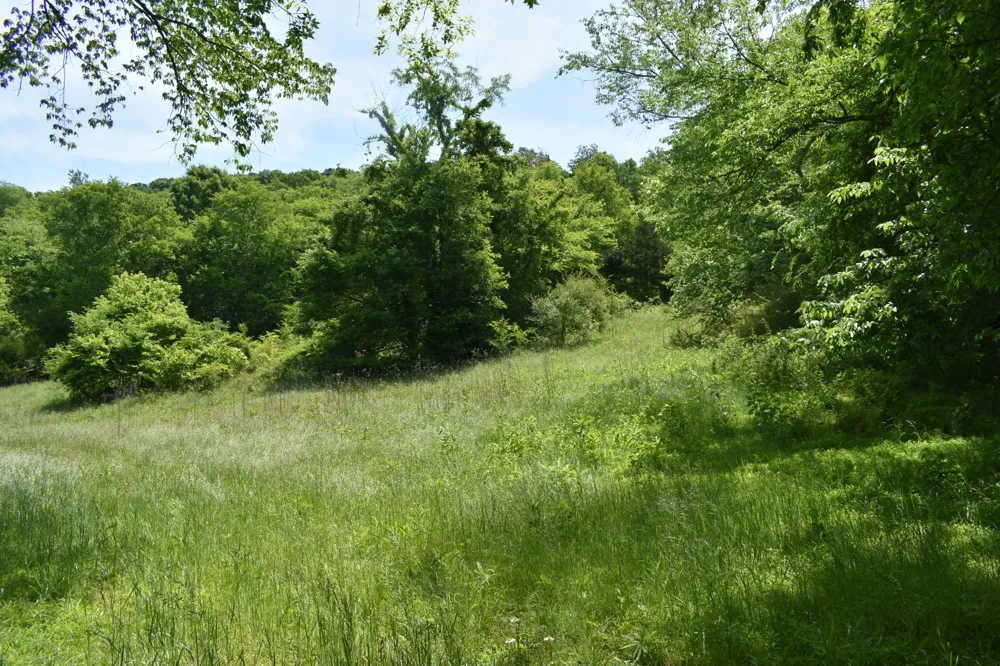 0 Brooks Bend Lane Gainesboro, TN 38562