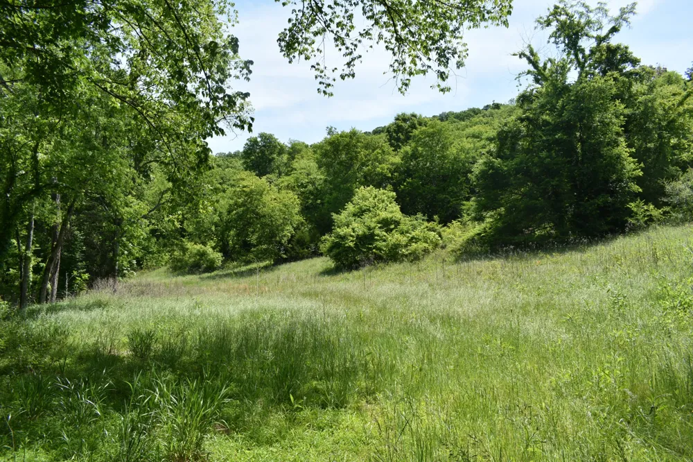 0 Brooks Bend Lane Gainesboro, TN 38562