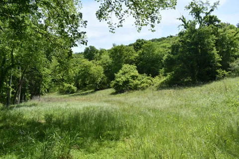 0 Brooks Bend Lane
