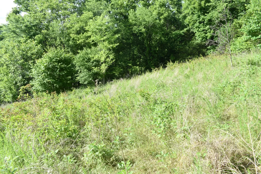0 Brooks Bend Lane Gainesboro, TN 38562