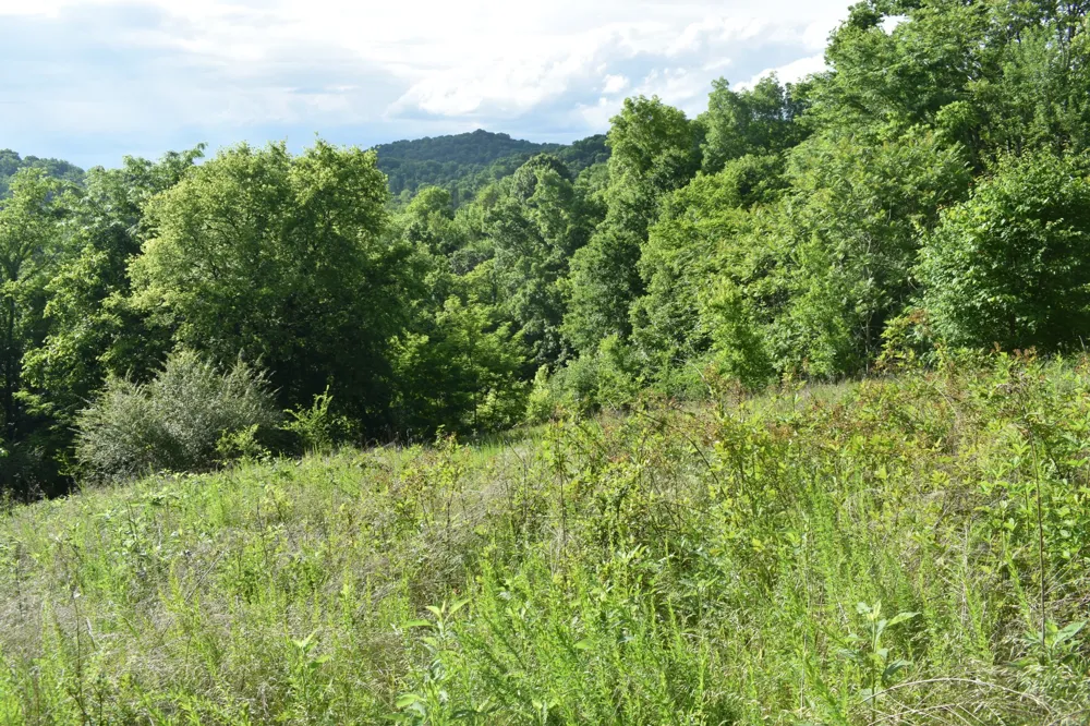 0 Brooks Bend Lane Gainesboro, TN 38562