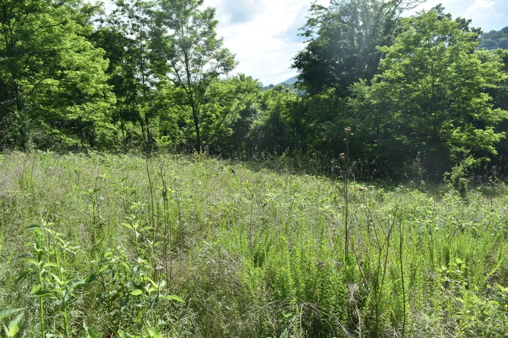 0 Brooks Bend Lane Gainesboro, TN 38562